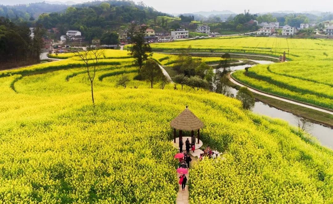 &ldquo;特色小鎮&rdquo;接連失敗，農村旅游開發如何做？