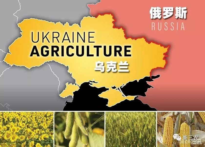 俄烏沖突啟示：誰控制小麥，誰就控制了世界