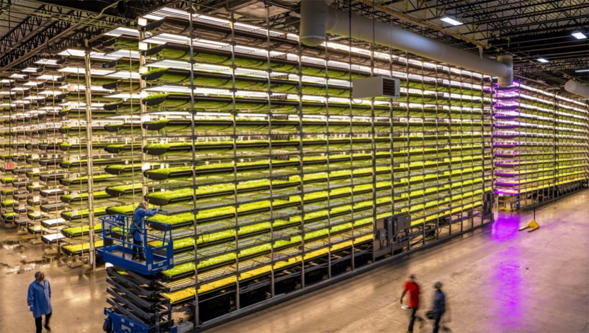 垂直農業，一個可持續的未來？