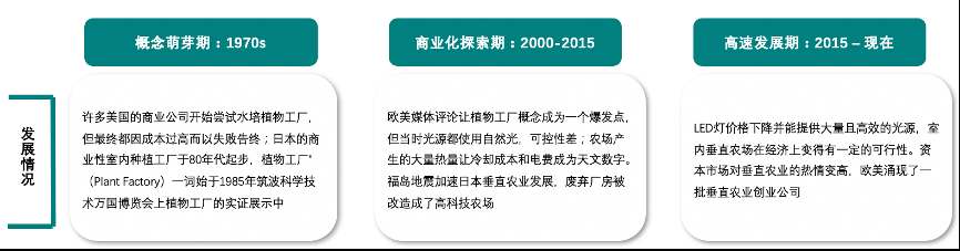 垂直農業，一個可持續的未來？