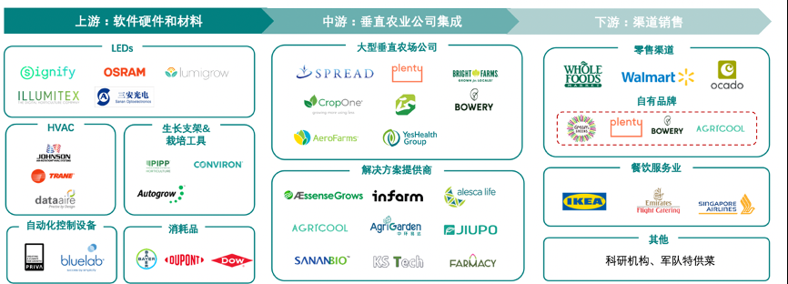 垂直農業，一個可持續的未來？