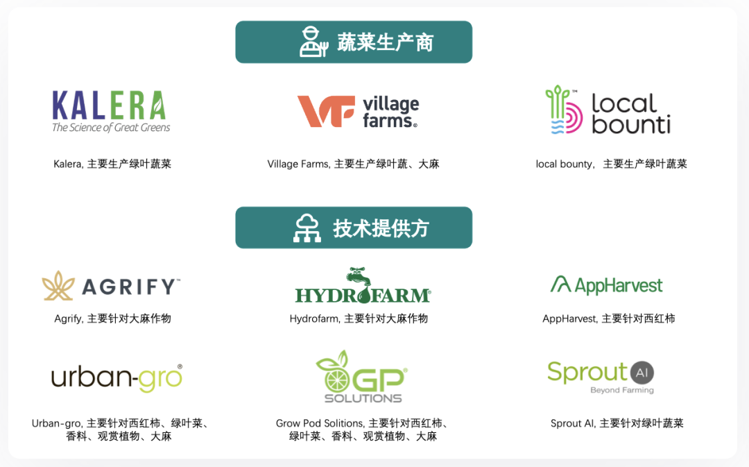 垂直農業，一個可持續的未來？