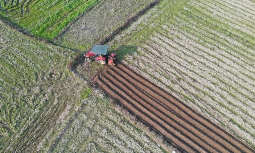 2022耕地地力保護補貼各地新標準，一畝補多少錢？速看