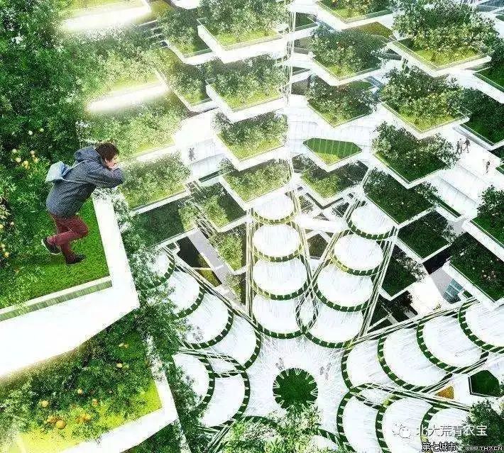 資本青睞的“垂直農業”，能代表農業的未來嗎？