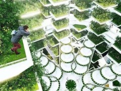 資本青睞的“垂直農業”，能代表農業的未來嗎？