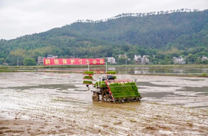 羅錫文院士：將這里打造成無人智慧農場樣板！