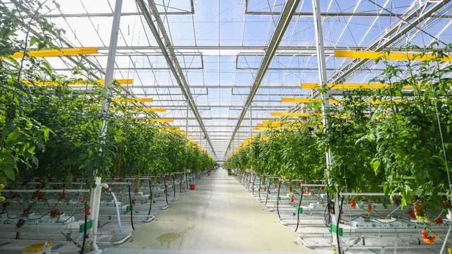 好！北京：設施農業機械化率今年將達到43.5%！