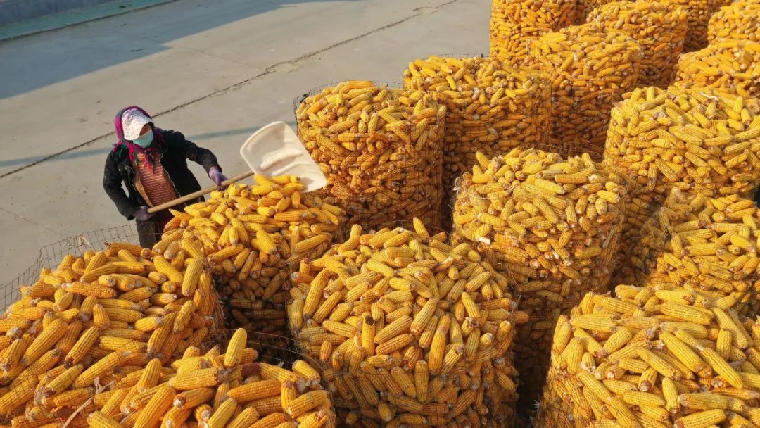 【報告解讀】未來十年，農產品市場變局如何？