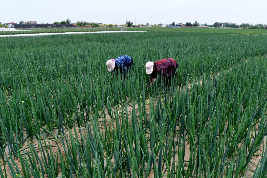 國務院：打通物流微循環，保障農資農產品運輸