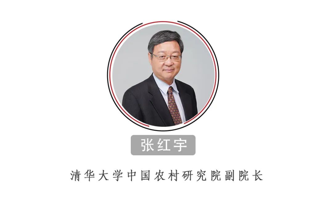 張紅宇：中國的糧食供給安全嗎？絕對沒有問題！