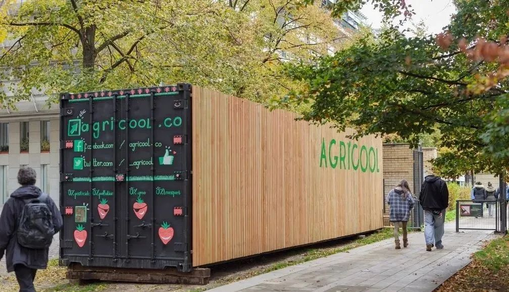 失敗案例！又一個垂直農業先驅倒下，留給中國農業老板的思考