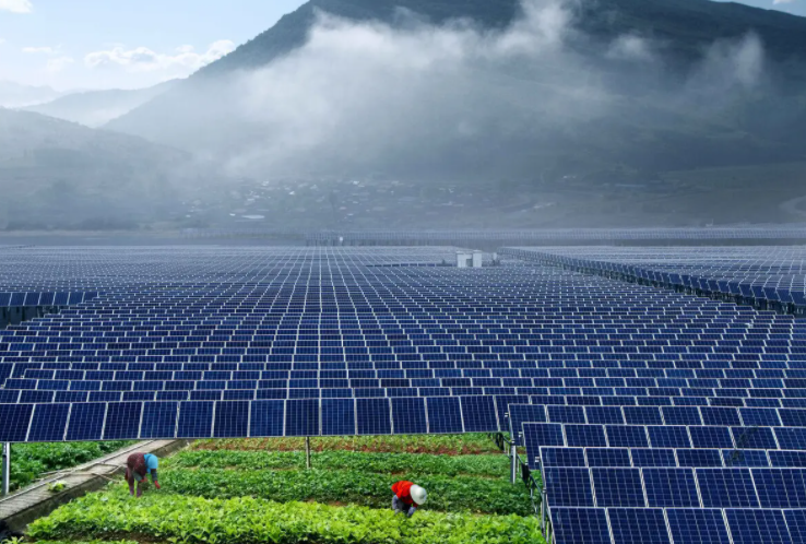 光伏農業：政策利好，鄉村振興加速器，但商業模式有待升級