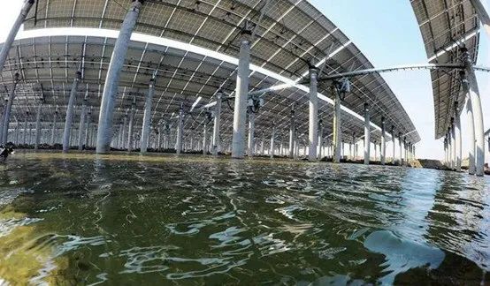 光伏農業：政策利好，鄉村振興加速器，但商業模式有待升級