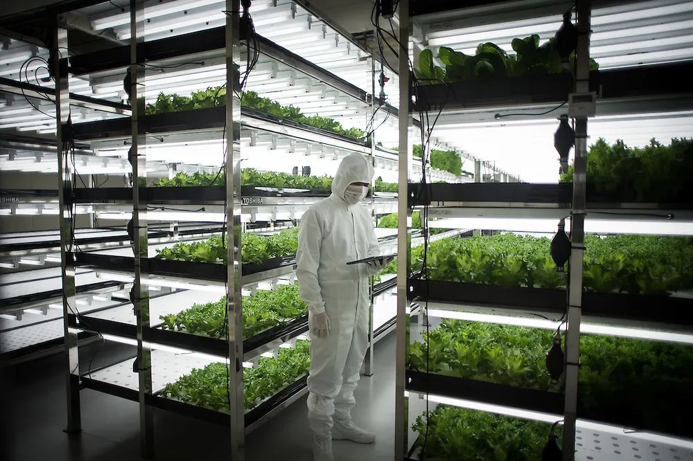 【高科技農業】這一新型產業將提升農業產能接近400倍！