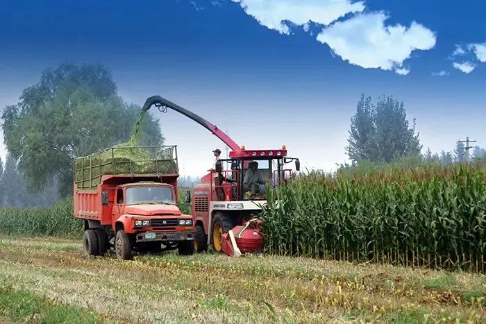 硬核！農業農村部“點名”三種農機，打破國外壟斷！