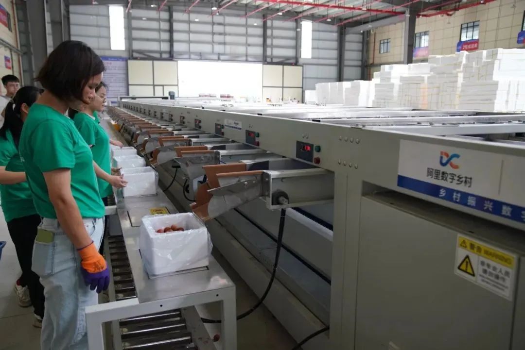 阿里“熱土計劃”再推18條鄉村振興新舉措！