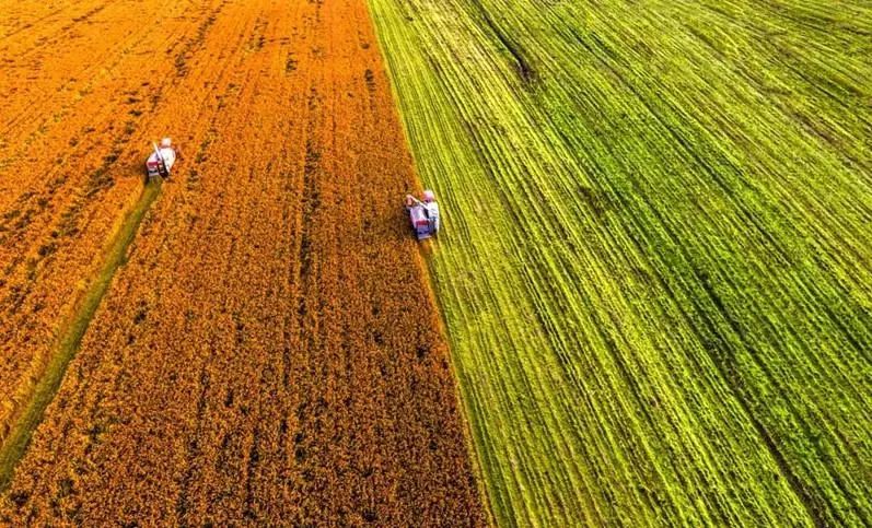 阿里“熱土計劃”再推18條鄉村振興新舉措！