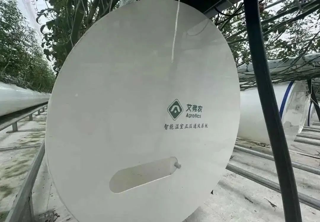 棚內28攝氏度！嘉興這里的數字農業車間很“清涼”