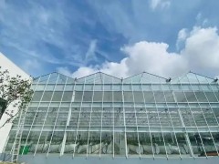 棚內28攝氏度！嘉興這里的數字農業車間很“清涼”