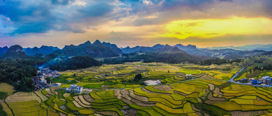 【縣域農業】縣域是未來農業品牌建設的主戰場！