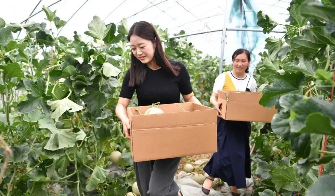 【縣域農業】縣域是未來農業品牌建設的主戰場！