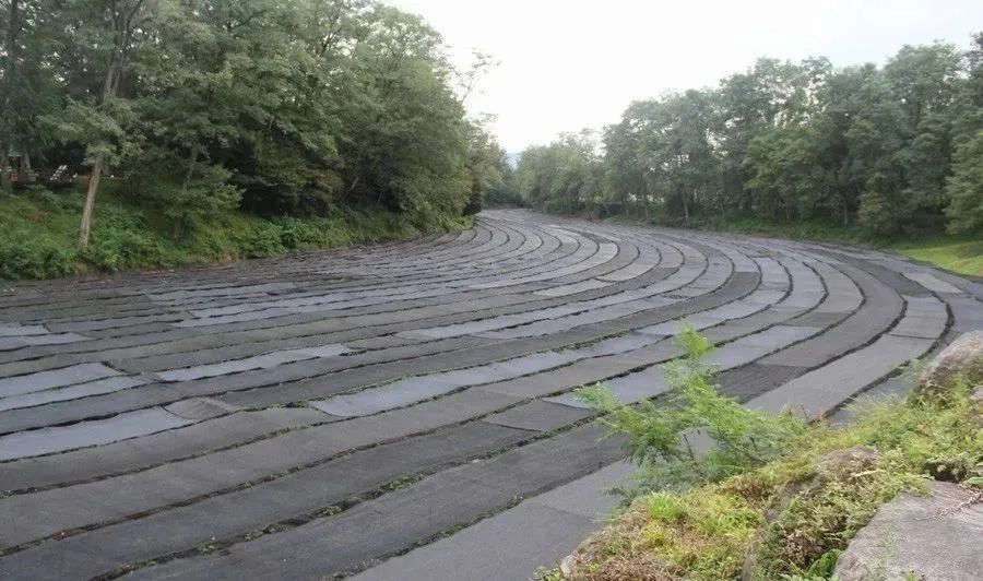 日本百年芥末農場：精耕單品，專注美食，以靜制動