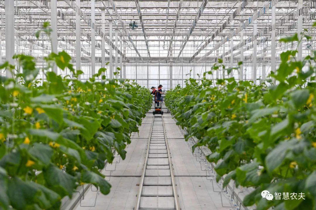農業部出手，智慧農業將迎來七個方面全面突破！