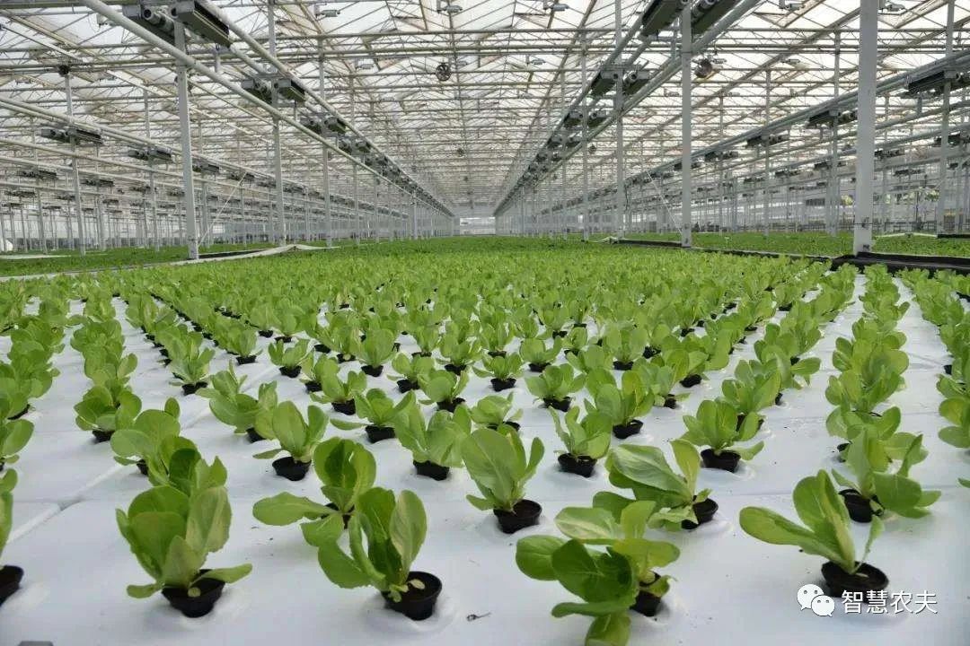 農業部出手，智慧農業將迎來七個方面全面突破！