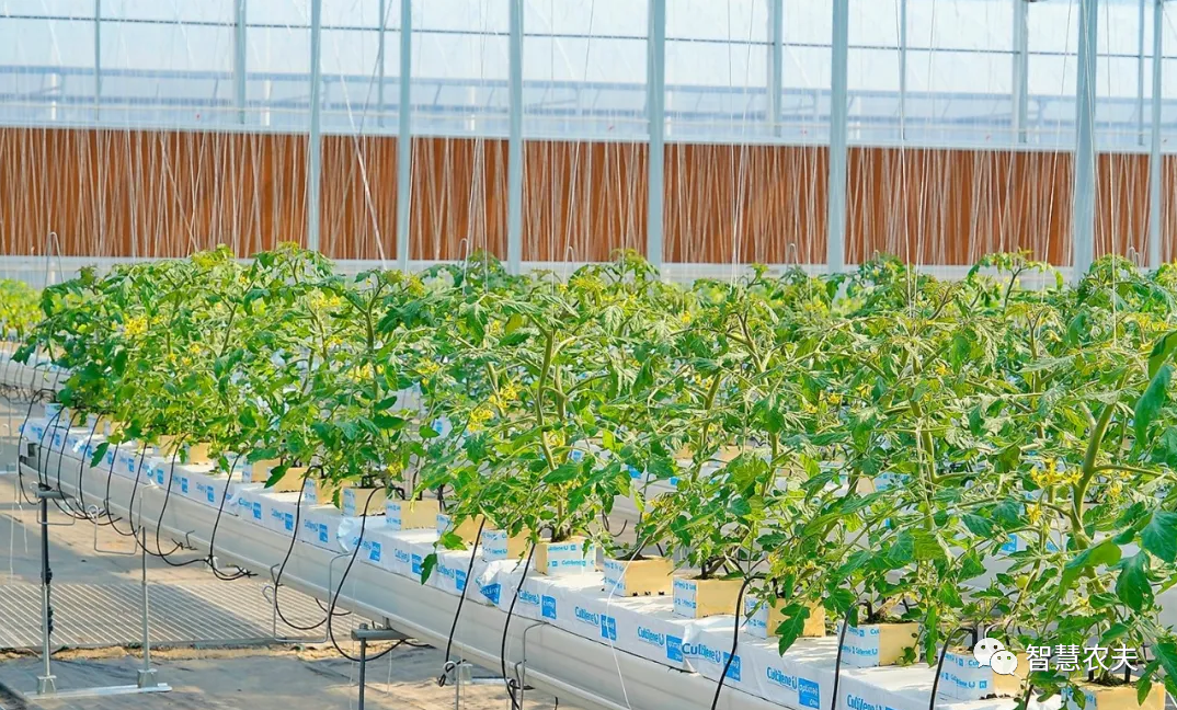 農業部出手，智慧農業將迎來七個方面全面突破！