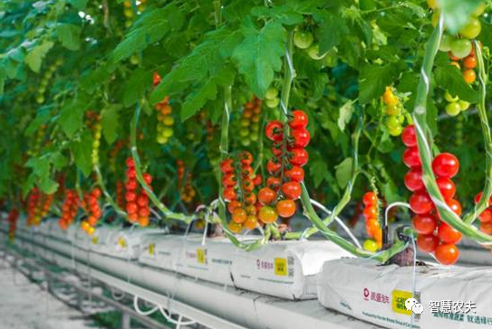 農業部出手，智慧農業將迎來七個方面全面突破！