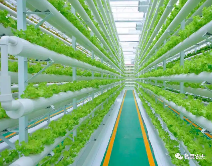 農業部出手，智慧農業將迎來七個方面全面突破！