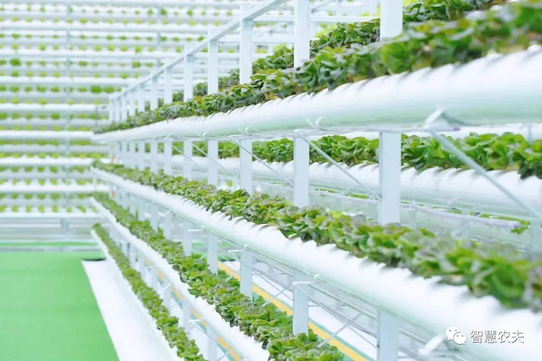 農業部出手，智慧農業將迎來七個方面全面突破！