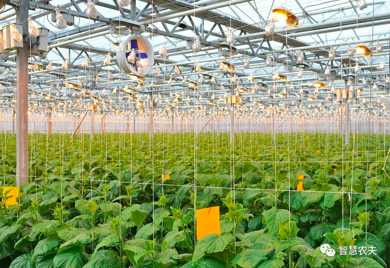 農業部出手，智慧農業將迎來七個方面全面突破！