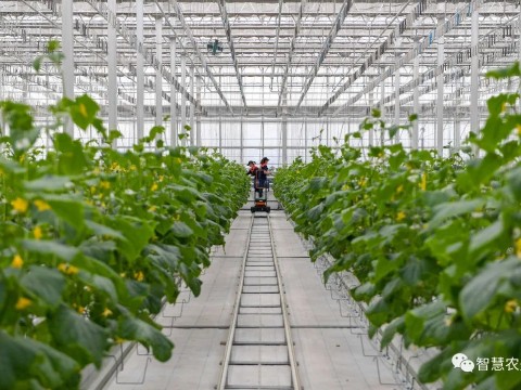 農(nóng)業(yè)部出手，智慧農(nóng)業(yè)將迎來七個(gè)方面全面突破！