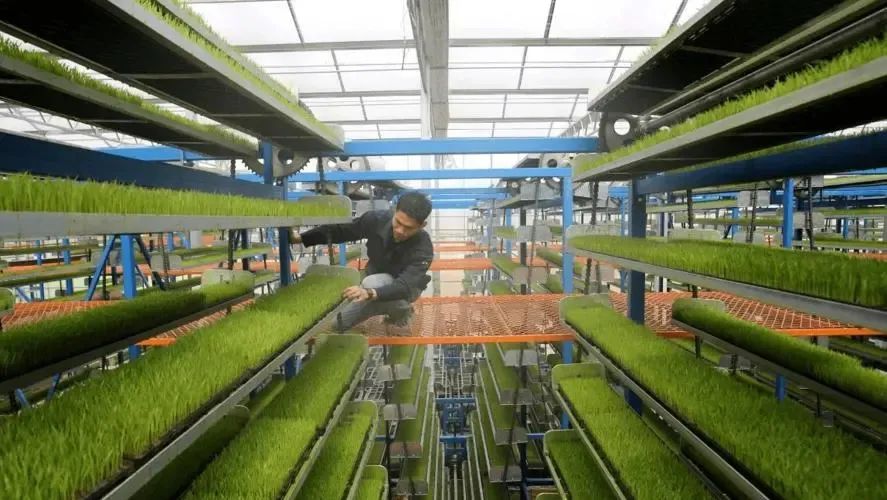 農業農村部敲定！這些智能農機應用，加快推進！