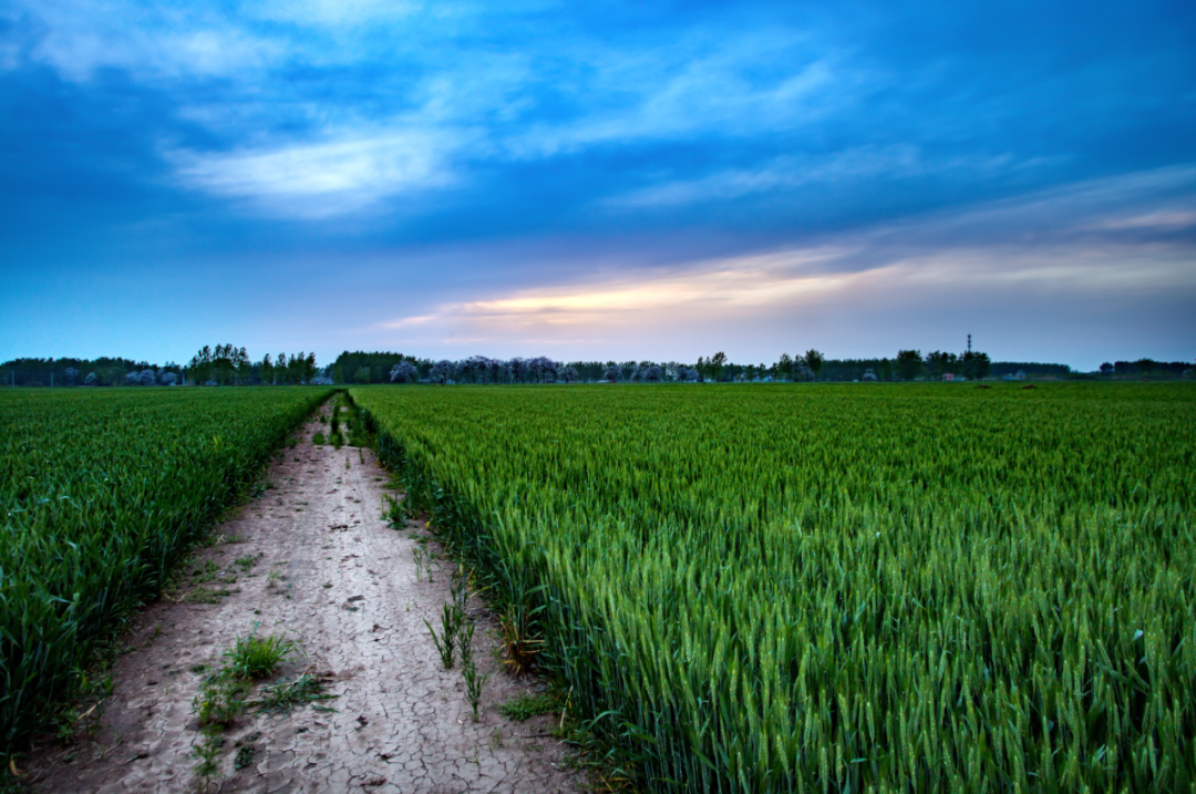 中國農業領域投資的全新模式，這一省份打造了全國新標桿！