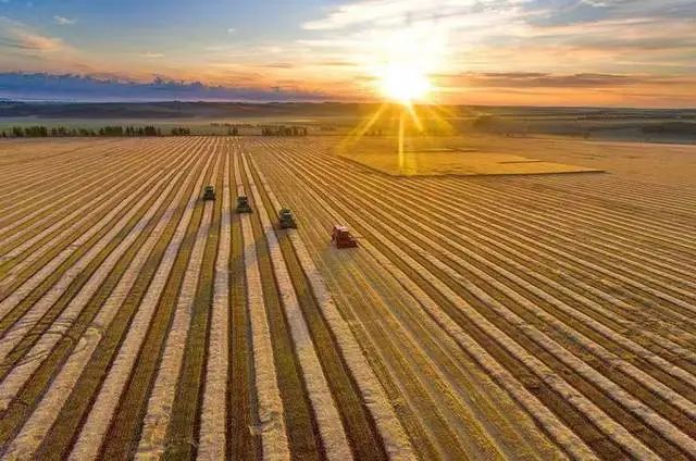 陳文勝：中國農業現代化的基本趨勢與未來任務
