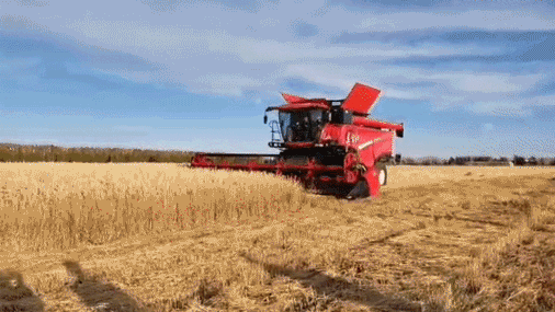 國內首款智能 大型 喂入量15公斤谷物聯合收割機在中國一拖研制成功