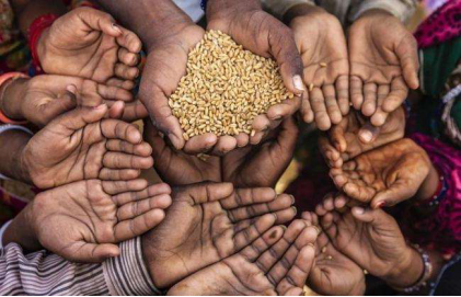 產需基本平衡，為何全球仍面臨糧食危機