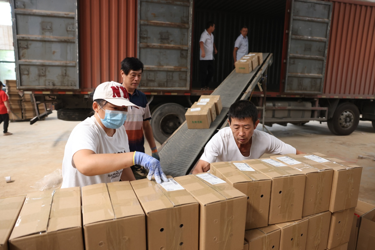 宜城紅薯：新電商怎么“生生造出”一個新產業？