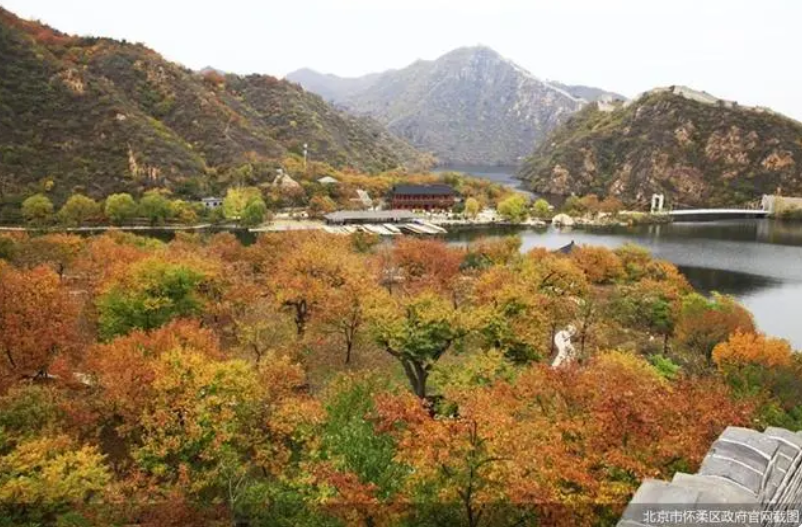 京郊“打卡”熱度持續，北京農業“附加值”亮眼