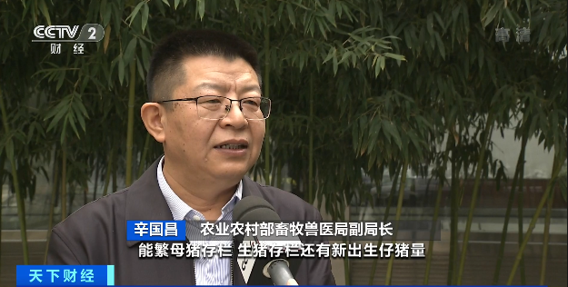 豬肉價格，為何漲了？接下來怎么走？農業農村部最新回應