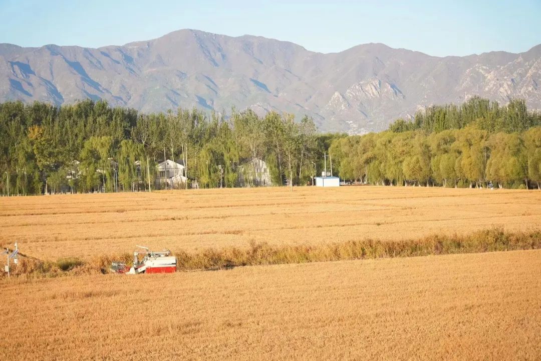 科技改變世界！智能農機助力中國！