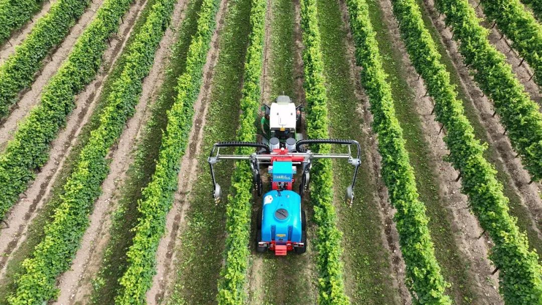 EIMA 2022技術創新獎釋出，自主性和環境友好產品受青睞