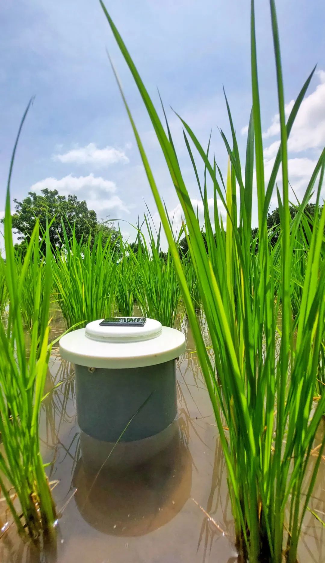 EIMA 2022技術創新獎釋出，自主性和環境友好產品受青睞