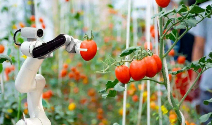 農業機器人來到應用窗口期，助力未來百億人口糧食安全