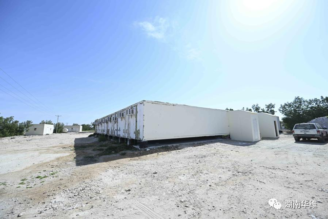 在沙漠里種菜？中國蔬菜走進世界杯