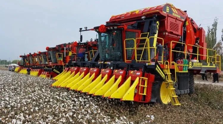進口采棉機曾受國外斷供，國產化替代讓中國棉農挺起脊梁