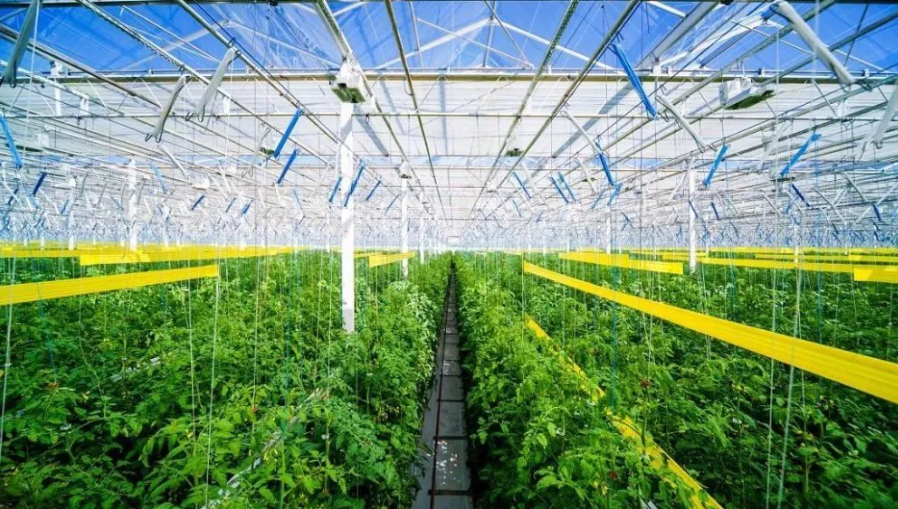 智慧農業迎來4大趨勢！發展5步路線圖清晰出爐！