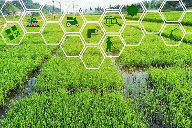 農業機器人來到應用窗口期，助力未來百億人口糧食安全